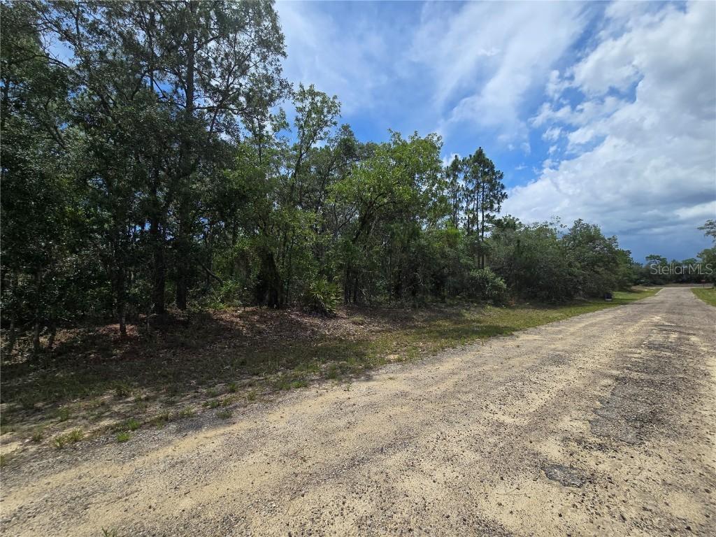 6468 N Baylor Ter., Dunnellon, FL 34433