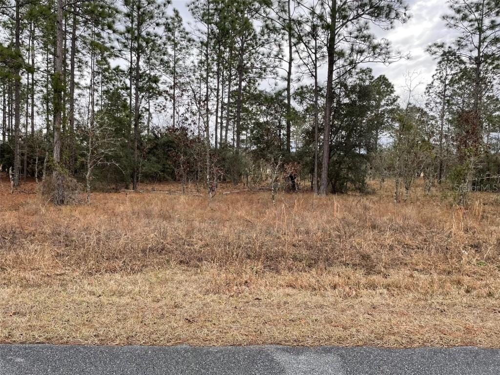 LOT 14 SE 136 Ter., Dunnellon, FL 34431