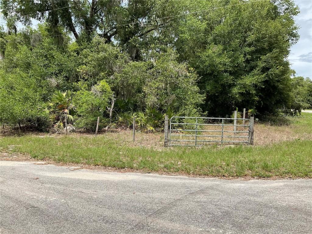 TBD Lot 56 Malauka Radial Tr., Ocklawaha, FL 32179
