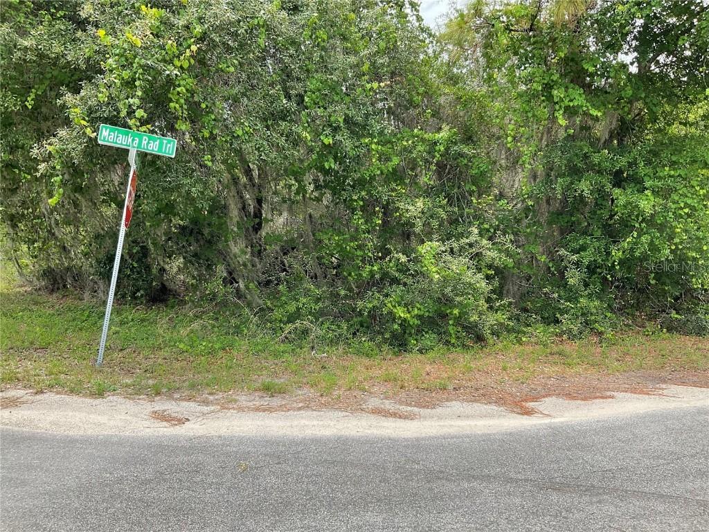 TBD Lot 59 Malauka Radial Tr., Ocklawaha, FL 32179