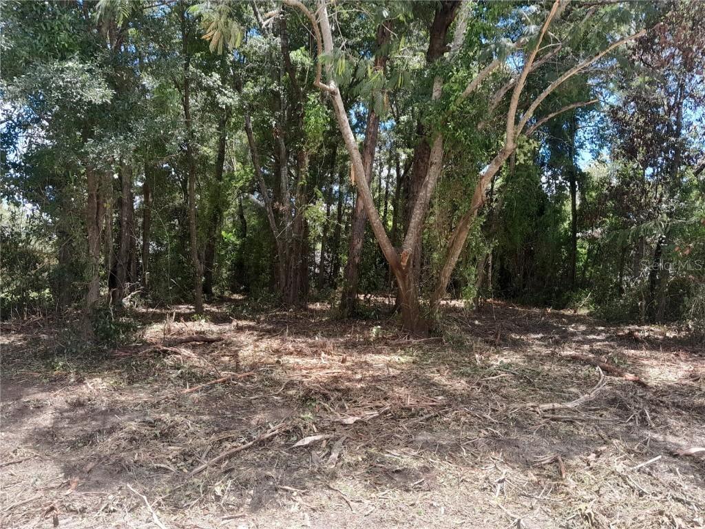 tbd NE 48th St., Williston, FL 32696