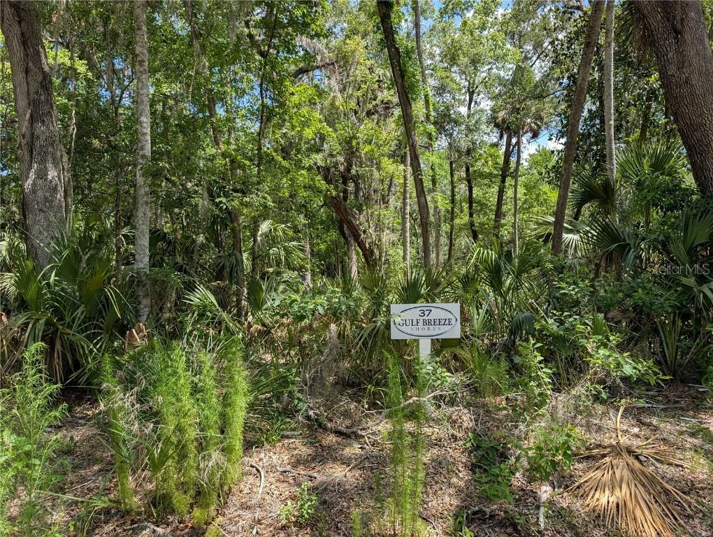 13159 W Gulf Shores St., Inglis, FL 34449