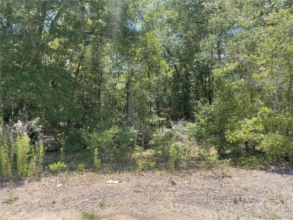TBD SW 22nd Pl., Ocala, FL 34481
