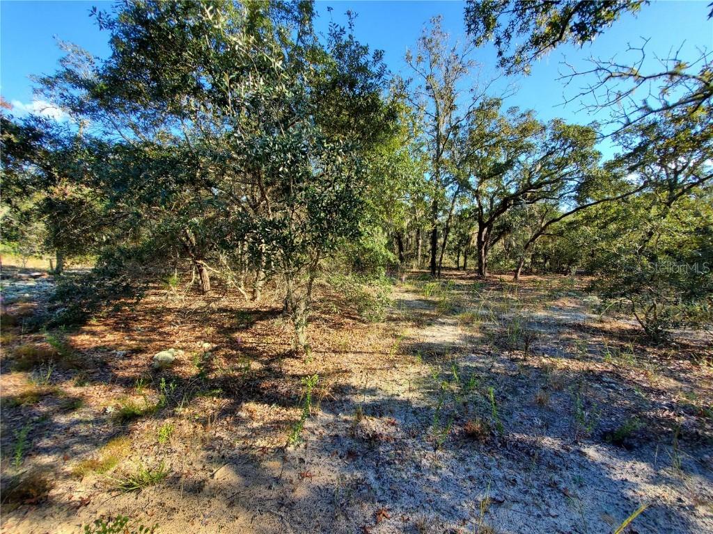 Lot 4 SW Paradise Heights Rd., Dunnellon, FL 34431