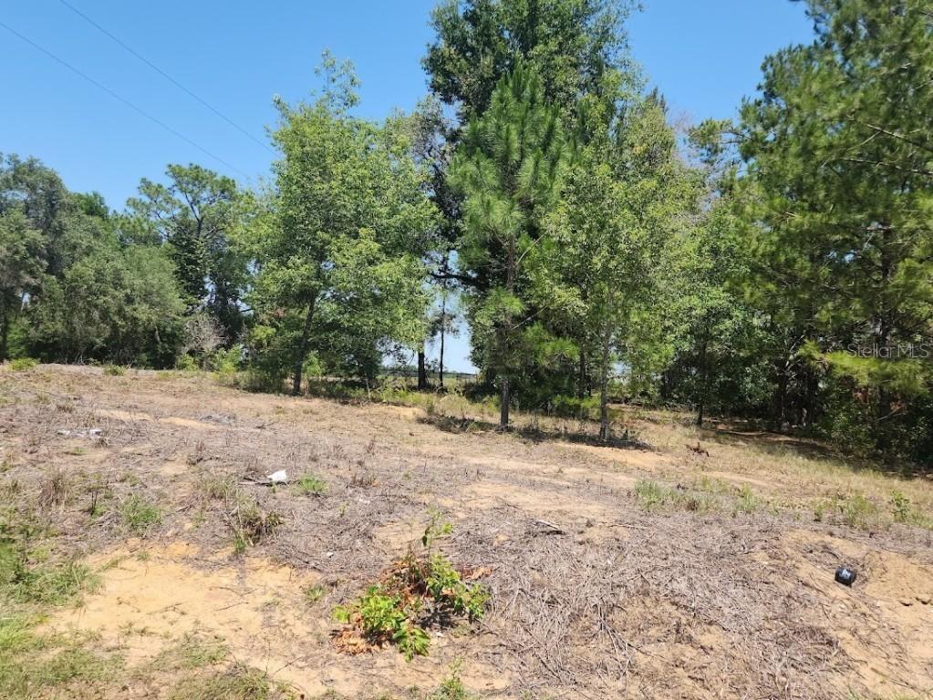 Lot 1 SW Pine Bluffs Rd., Dunnellon, FL 34431