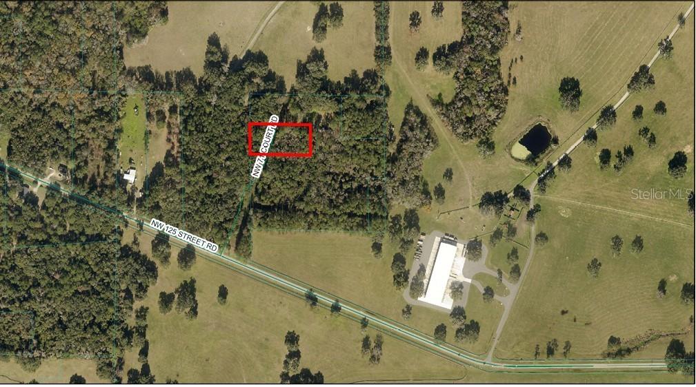 NW 71st Court Rd., Reddick, FL 32686