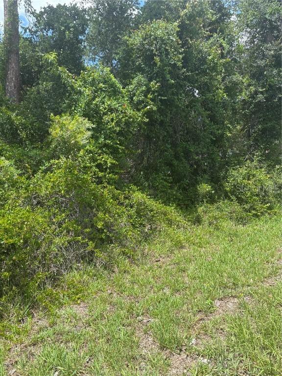 00 SE 186th Ct., Ocklawaha, FL 32179