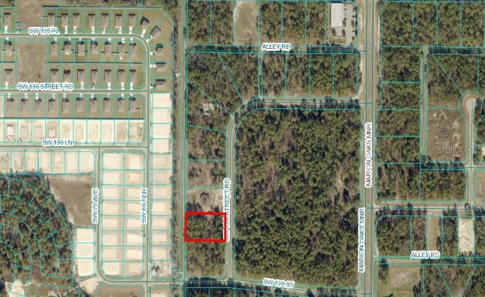 TBA SW 136 Street, Ocala, FL 34473