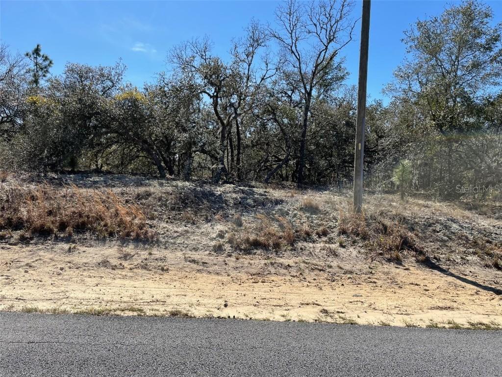 LOTS 14 & 15 SW Kearney Ln., Dunnellon, FL 34431