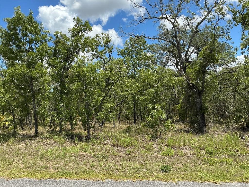 13022 Jaywalk Rd., Weeki Wachee, FL 34614