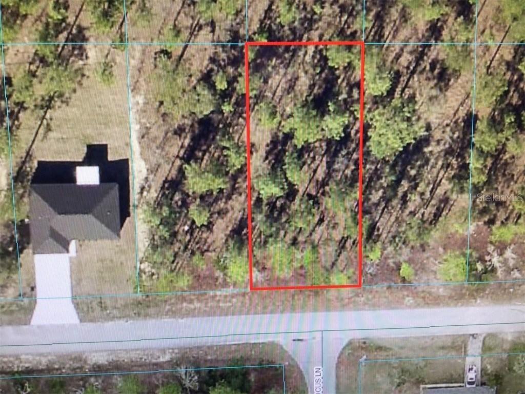 NW Amberjack Ave., Dunnellon, FL 34431