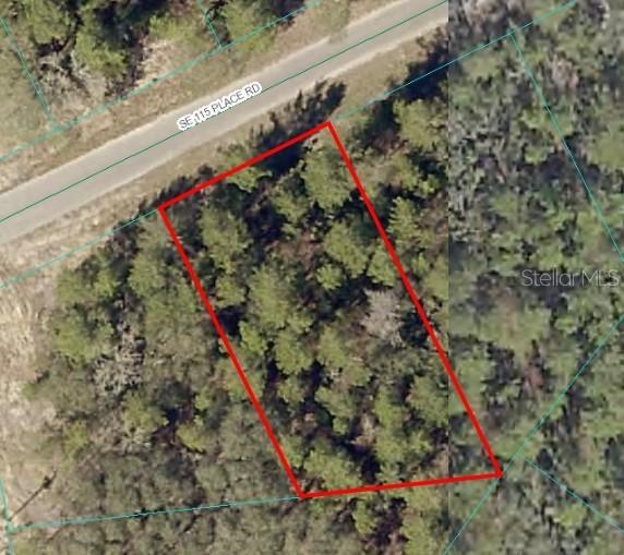 SE 115 Place Rd, Ocklawaha, FL 32179