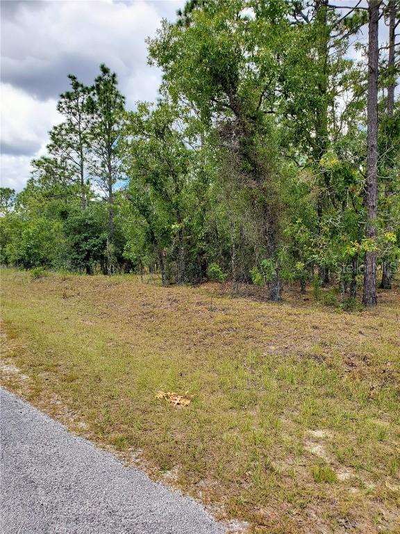 Pony Ridge Dr, Dunnellon, FL 34431