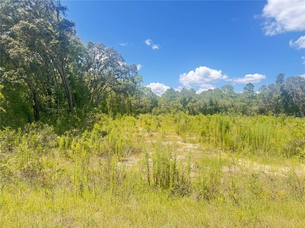 TBD SW 91 Ln., Dunnellon, FL 34432