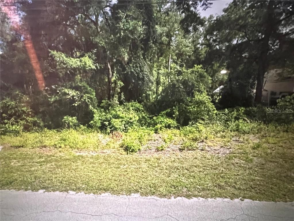 3898 E Dano St., Inverness, FL 34453
