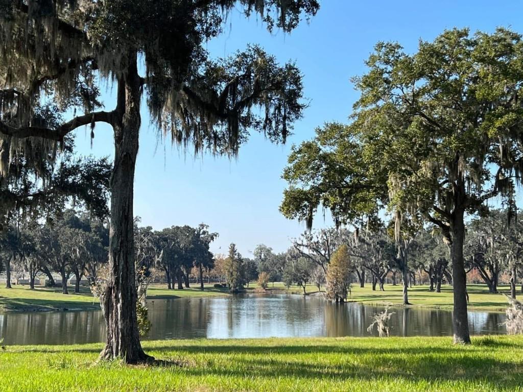 Tbd Se 157th Street Rd, Summerfield, FL 34491