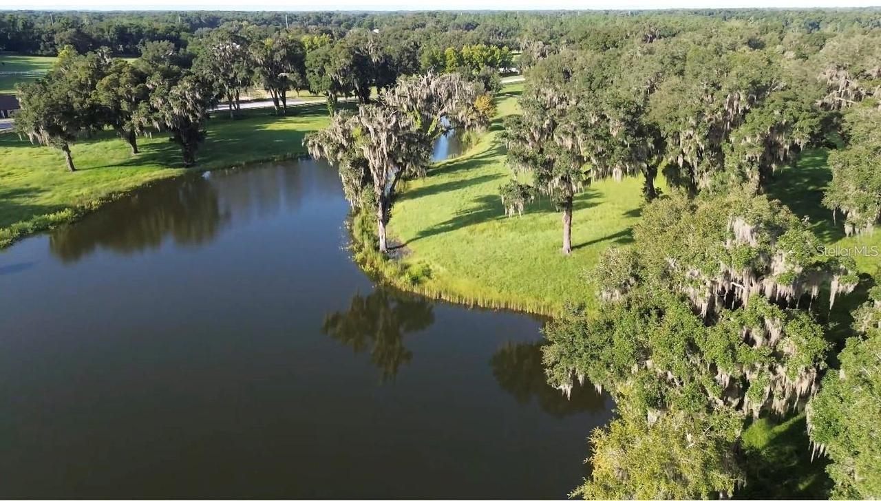 Tbd Se 157th Street Rd, Summerfield, FL 34491