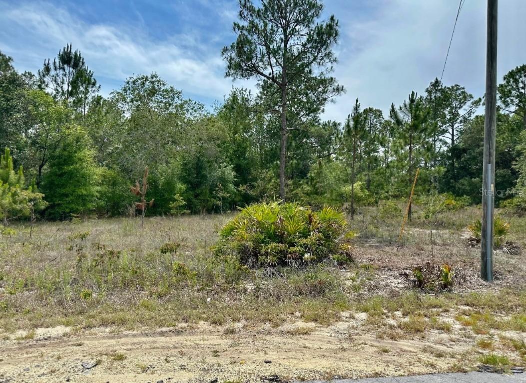 00 SW South Haven Ct., Dunnellon, FL 34431