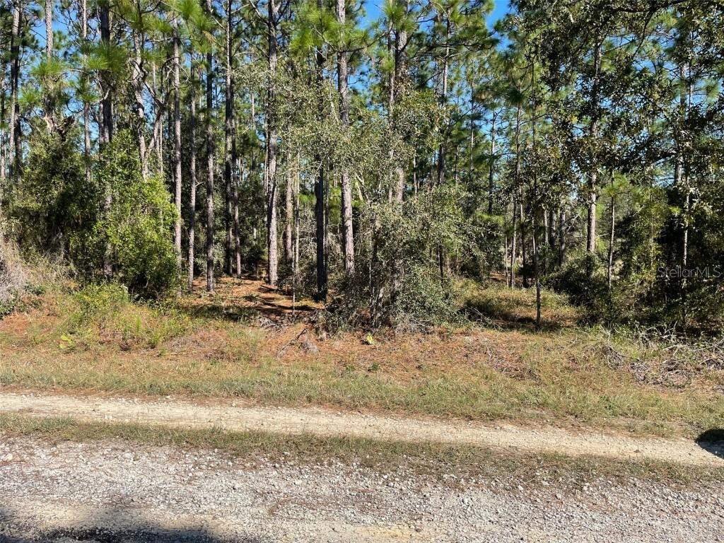 LOTS 16 & 17 SE 130 Ct., Dunnellon, FL 34431