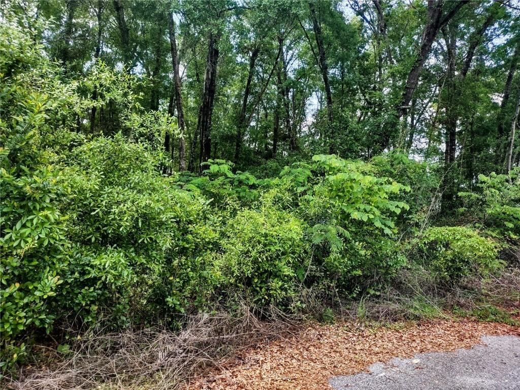 TBD NE 155th Ct., Williston, FL 32696