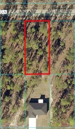 NW Tamarind Ln., Dunnellon, FL 34431