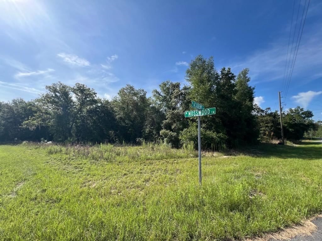 1425 W Mosswood Ln., Citrus Springs, FL 34434