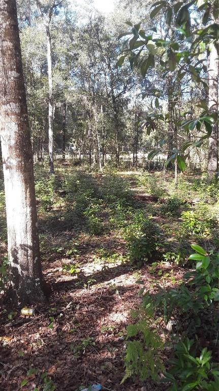22733 NE 114th Ave., Fort Mc Coy, FL 32134