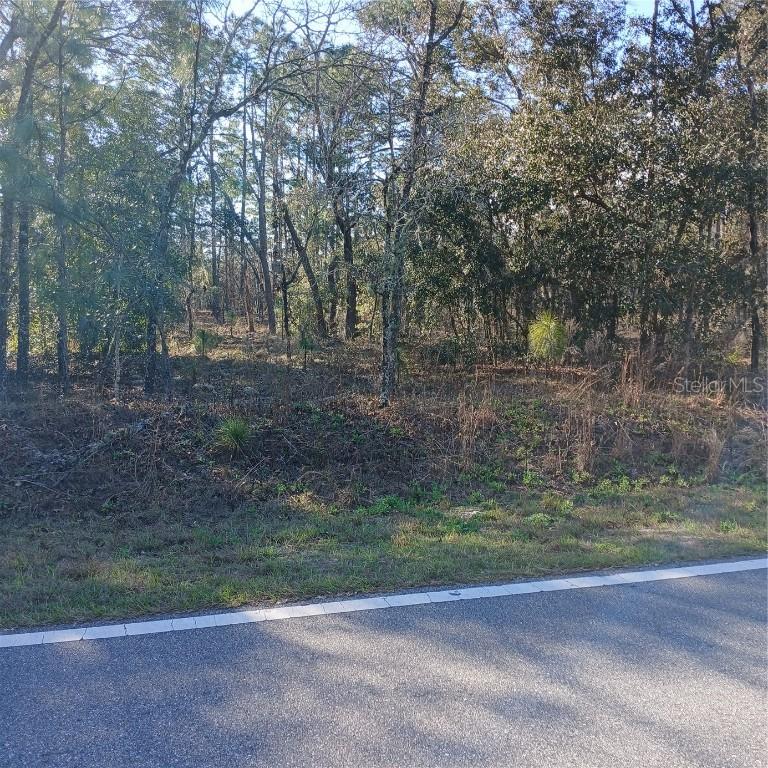 Lot 25 NW Ridgewood Rd., Dunnellon, FL 34431
