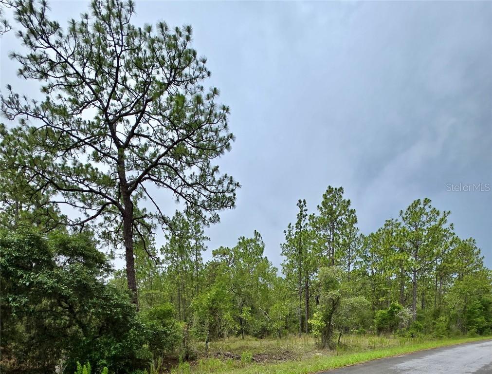 0 Nw Water Oak Ave., Dunnellon, FL 34431