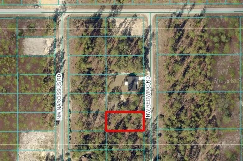 TBD NW Redwing Rd., Dunnellon, FL 34431