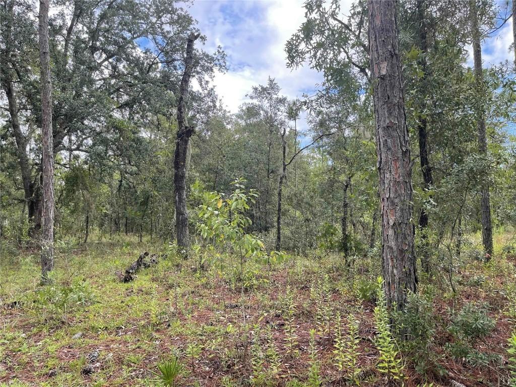11851 SE 55th Ln., Morriston, FL 32668