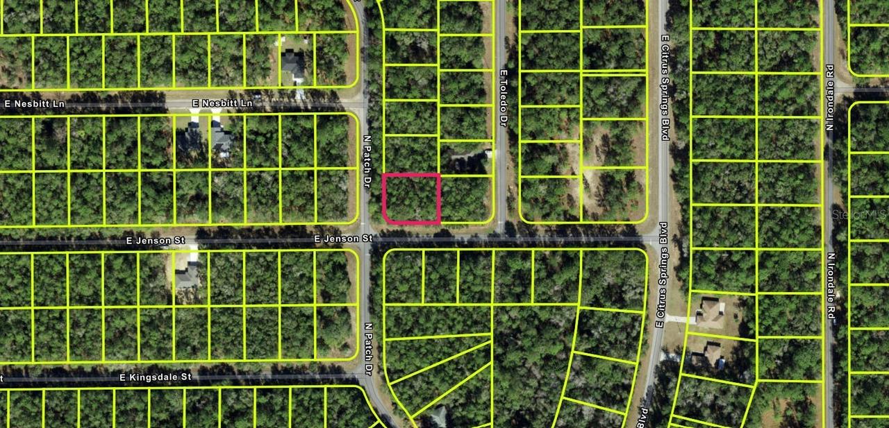 9123 N Patch Dr., Citrus Springs, FL 34434