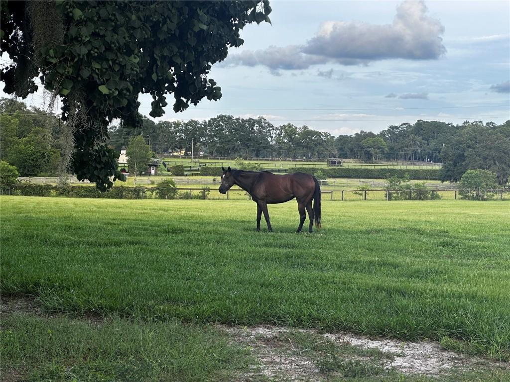 SW 107th St., Archer, FL 32618