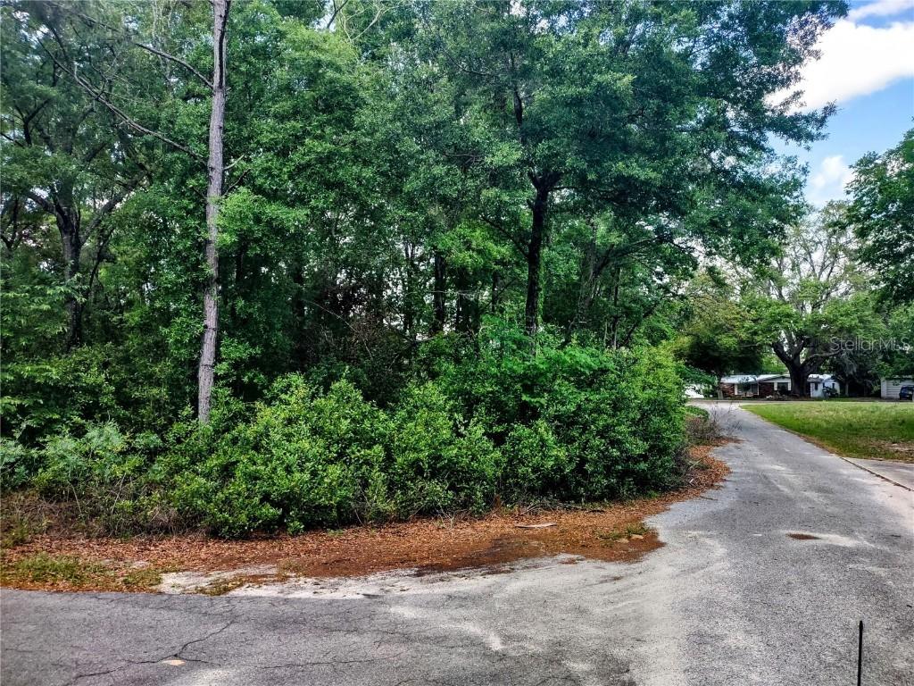 TBD NE 12th St., Williston, FL 32696