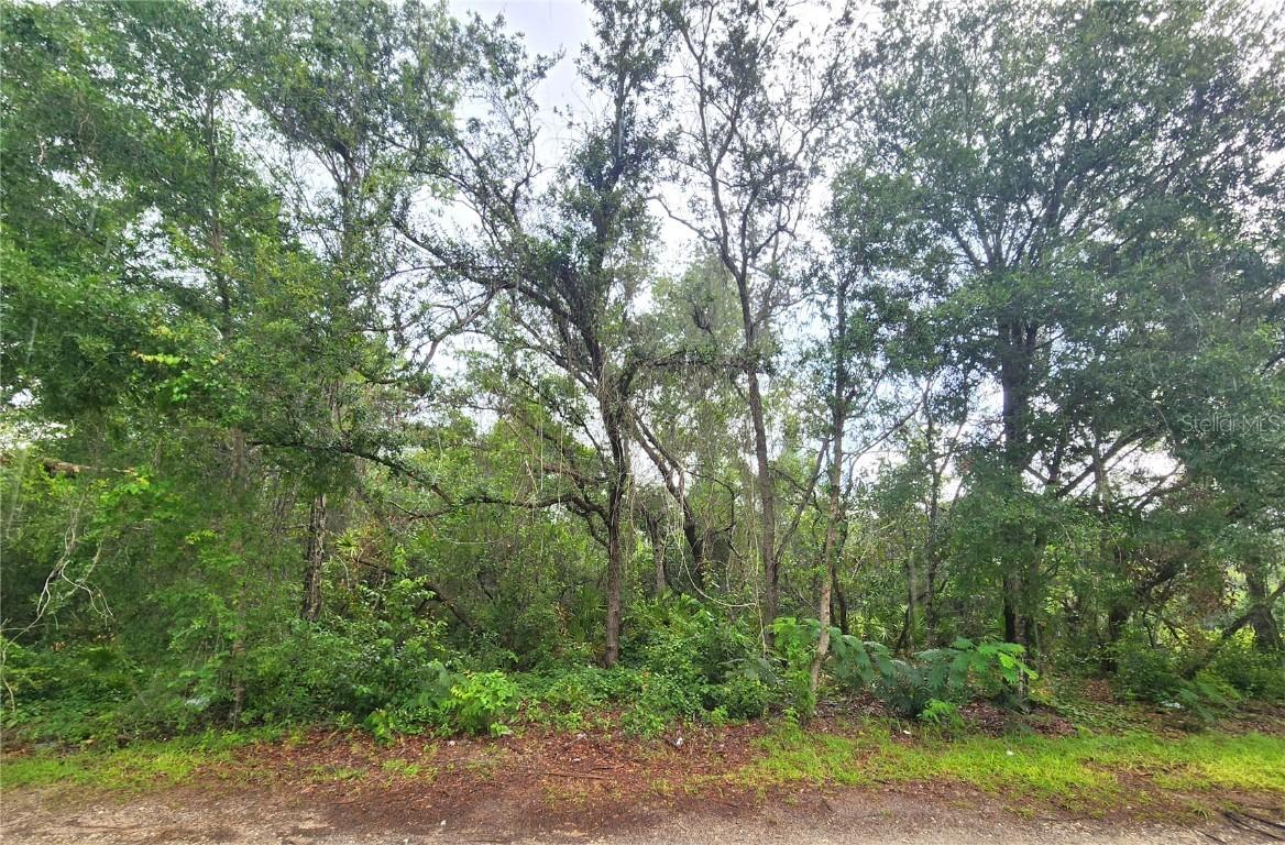 SE 20 Pl., Silver Springs, FL 34488