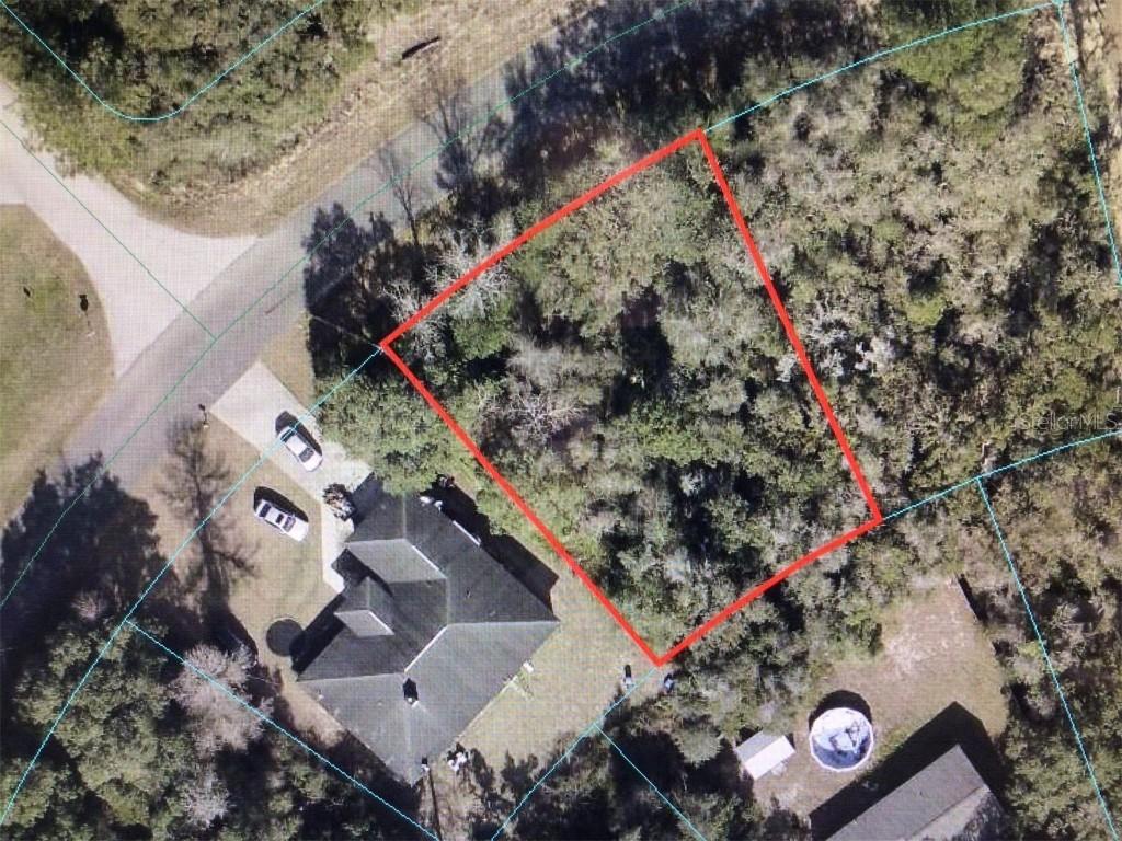 Olive Rd., Ocala, FL 34473