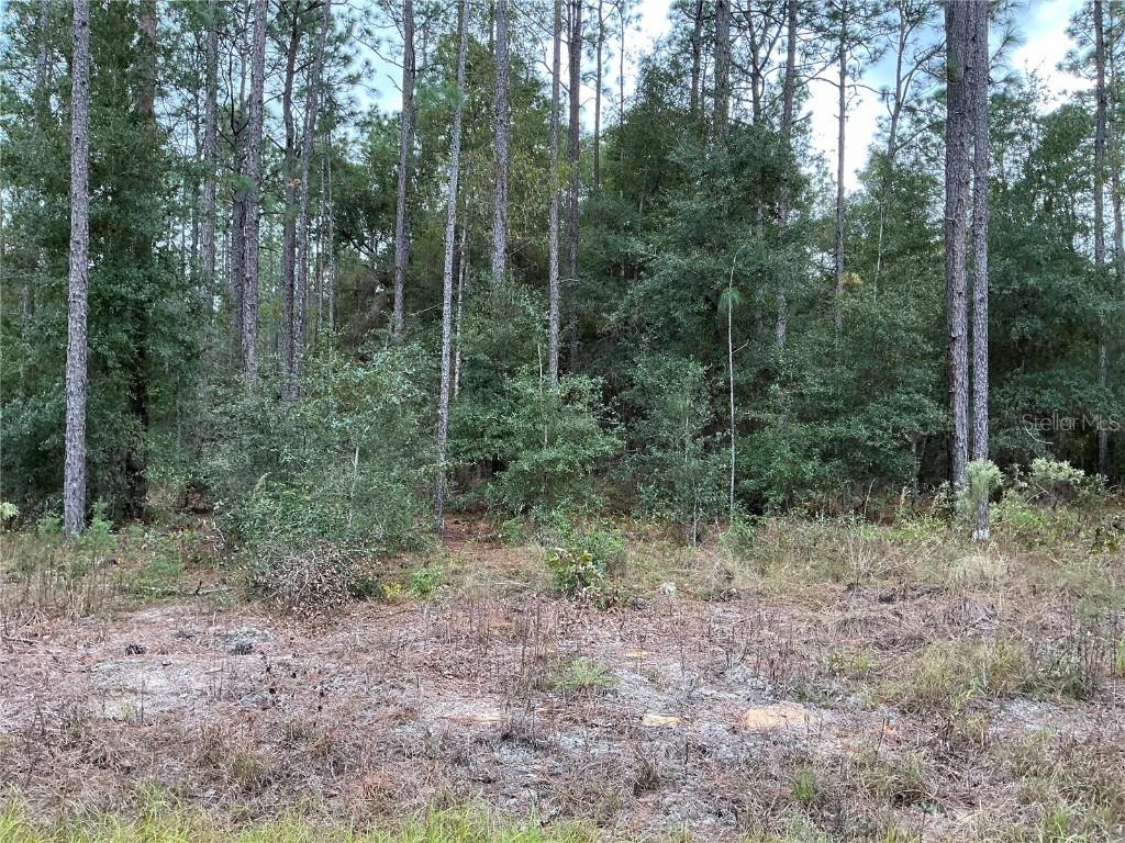 SW 29th St., Ocala, FL 34481