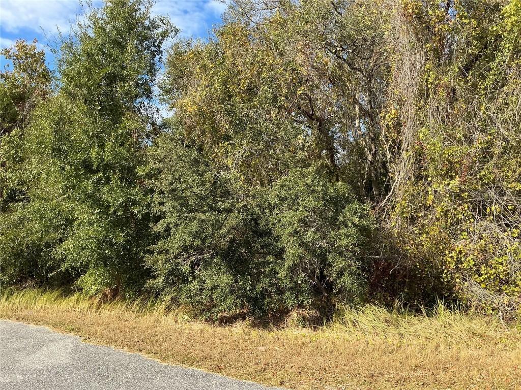 Spruce Ter., Ocala, FL 34472
