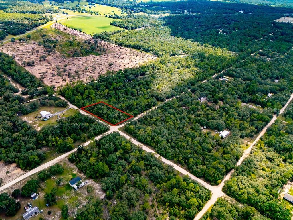 00 NE 110 Ave., Bronson, FL 32621