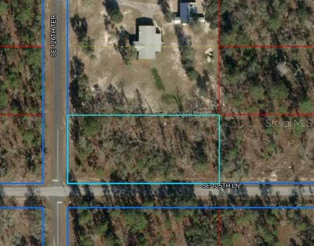 Lot 20 SE 126th Ter., Dunnellon, FL 34431