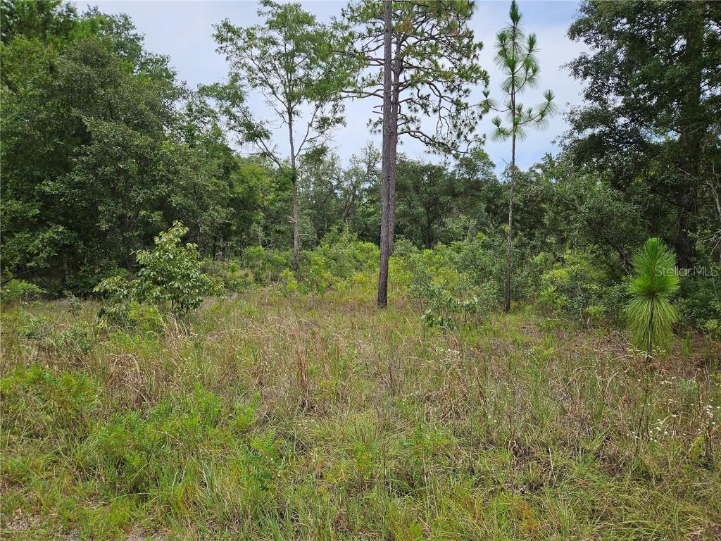919 NE 148th Ct., Williston, FL 32696