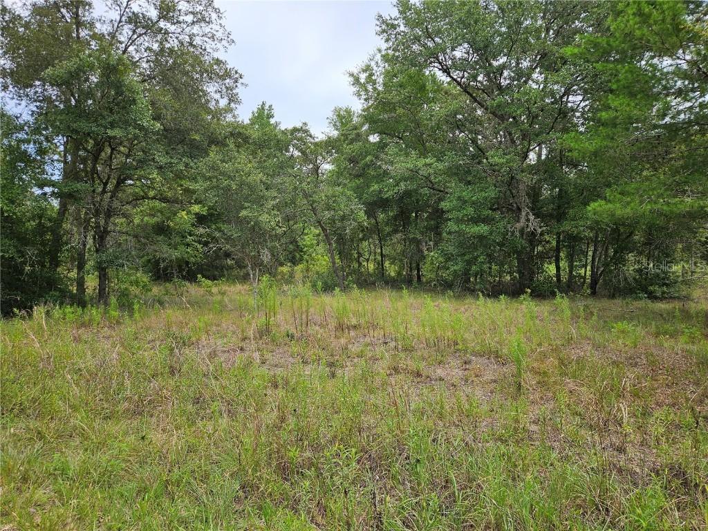 921 NE 148th Ct., Williston, FL 32696