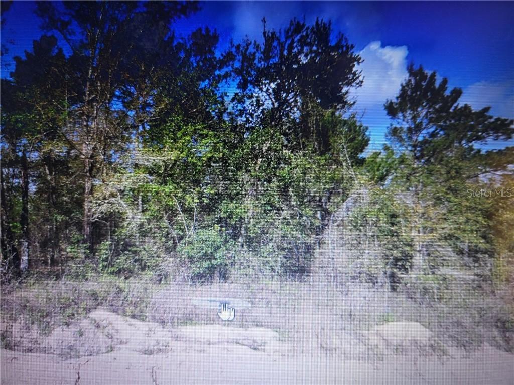 Grey St., Interlachen, FL 32148