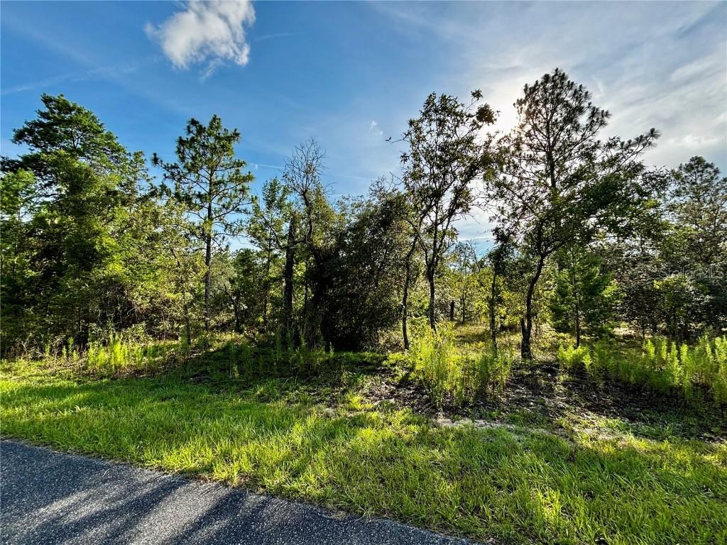 Lot 24 SE 136 Ter., Dunnellon, FL 34431