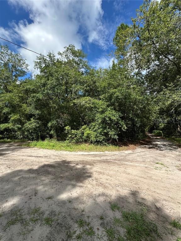 TBD NE 225th Pl., Fort Mc Coy, FL 32134