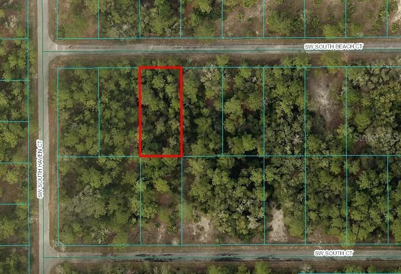 Lot#11 SW South Beach Ct., Dunnellon, FL 34431
