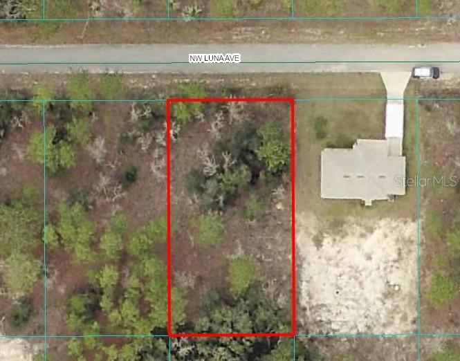 Lot #7 NW Luna Ave., Dunnellon, FL 34431