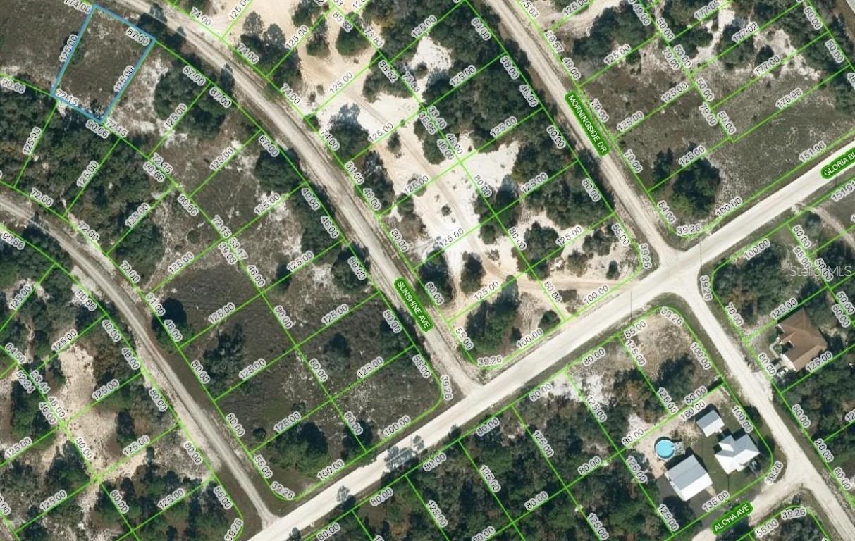 417 Sunshine Ave., Lake Placid, FL 33852