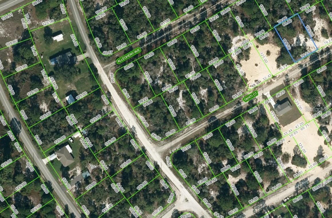 412 Tahiti Ct., Lake Placid, FL 33852