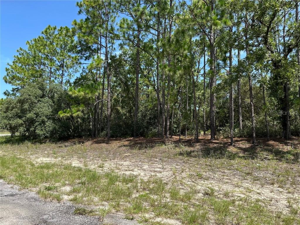 4053 W Firewood Loop, Citrus Springs, FL 34433